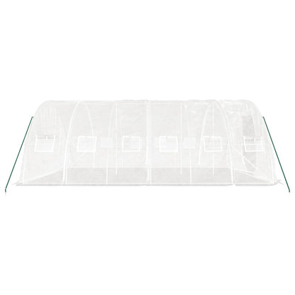 Gewächshaus Mit Stahlrahmen 30 M² 6X5X2,3 M