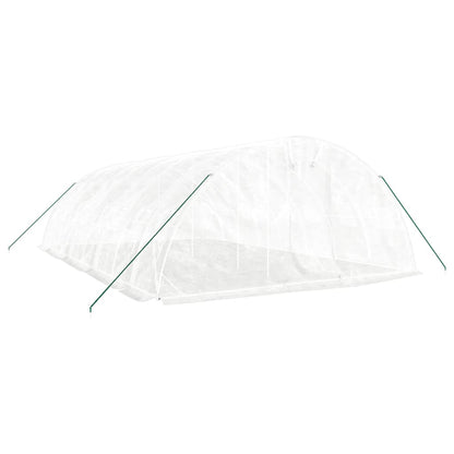Gewächshaus Mit Stahlrahmen 40 M² 8X5X2,3 M