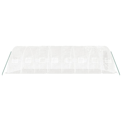 Gewächshaus Mit Stahlrahmen 40 M² 8X5X2,3 M