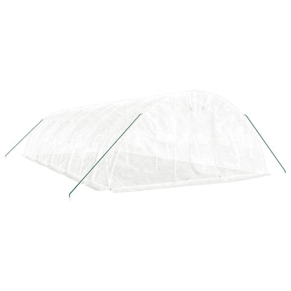 Gewächshaus Mit Stahlrahmen 50 M² 10X5X2,3 M