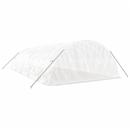 Gewächshaus Mit Stahlrahmen 50 M² 10X5X2,3 M