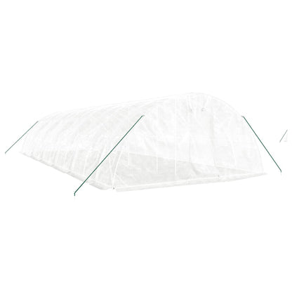 Gewächshaus Mit Stahlrahmen 60 M² 12X5X2,3 M