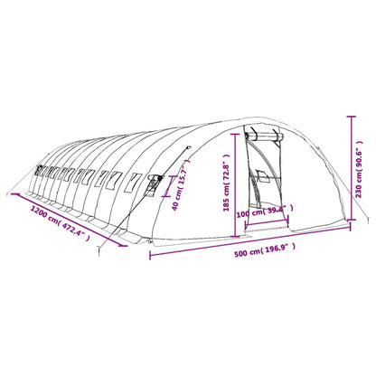 Gewächshaus Mit Stahlrahmen 60 M² 12X5X2,3 M