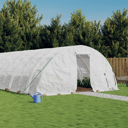 Gewächshaus Mit Stahlrahmen 70 M² 14X5X2,3 M