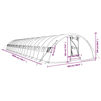 Gewächshaus Mit Stahlrahmen 100 M² 20X5X2,3 M