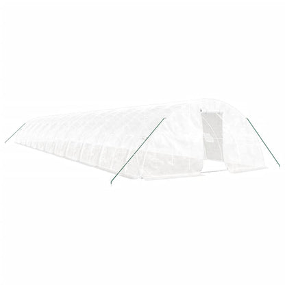 Gewächshaus Mit Stahlrahmen 110 M² 22X5X2,3 M