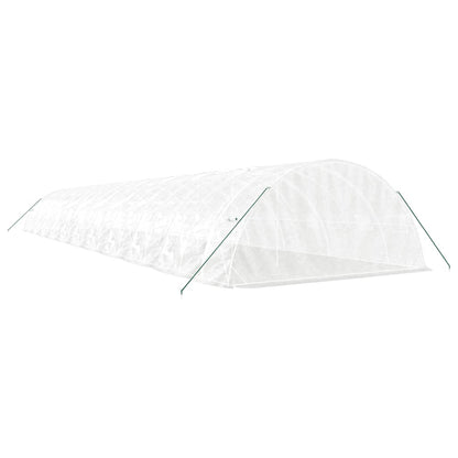 Gewächshaus Mit Stahlrahmen 110 M² 22X5X2,3 M