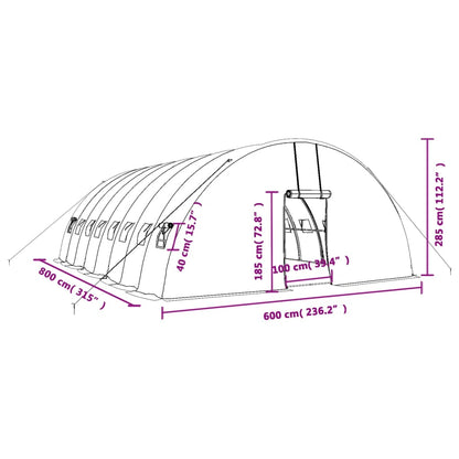 Gewächshaus Mit Stahlrahmen 48 M² 8X6X2,85 M
