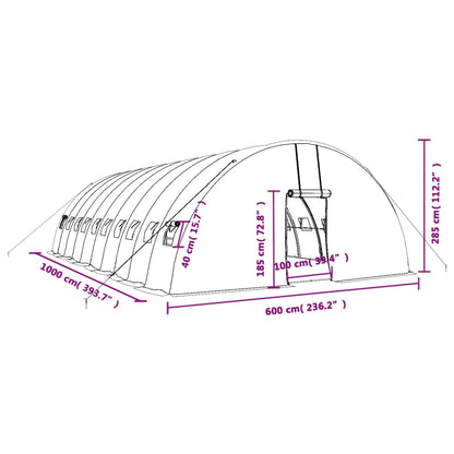 Gewächshaus Mit Stahlrahmen 60 M² 10X6X2,85 M