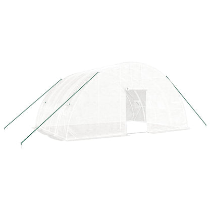 Gewächshaus Mit Stahlrahmen 24 M² 6X4X2,85 M