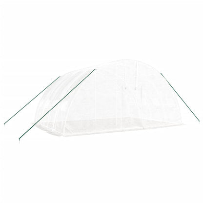 Gewächshaus Mit Stahlrahmen 24 M² 6X4X2,85 M