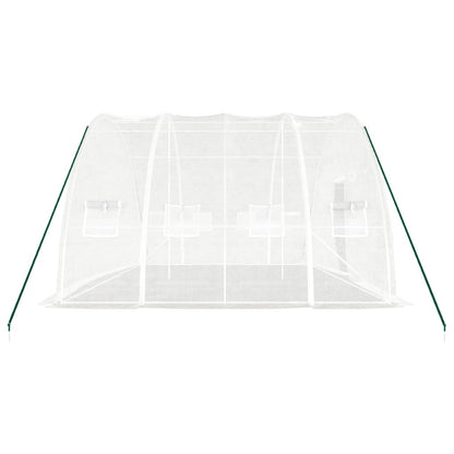 Gewächshaus Mit Stahlrahmen 24 M² 6X4X2,85 M