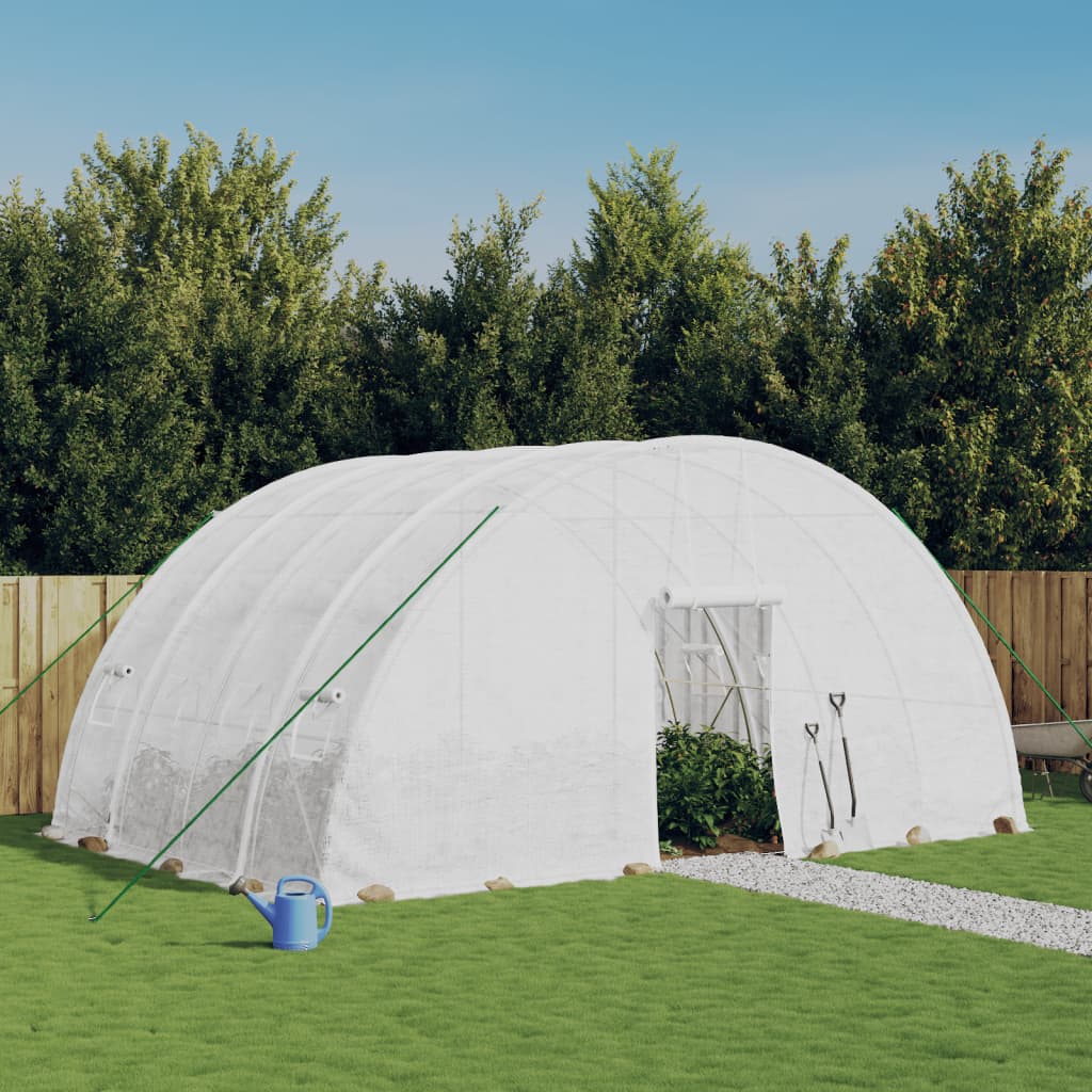 Gewächshaus Mit Stahlrahmen 24 M² 6X4X2,85 M