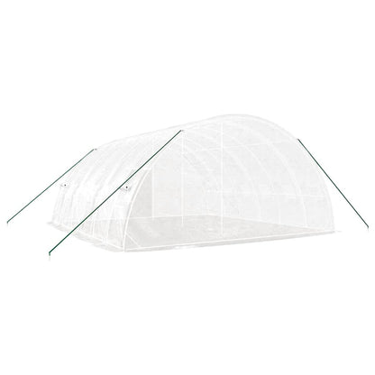 Gewächshaus Mit Stahlrahmen 36 M² 6X6X2,85 M