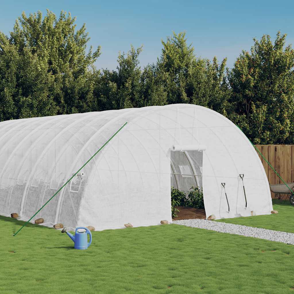 Gewächshaus Mit Stahlrahmen 36 M² 6X6X2,85 M