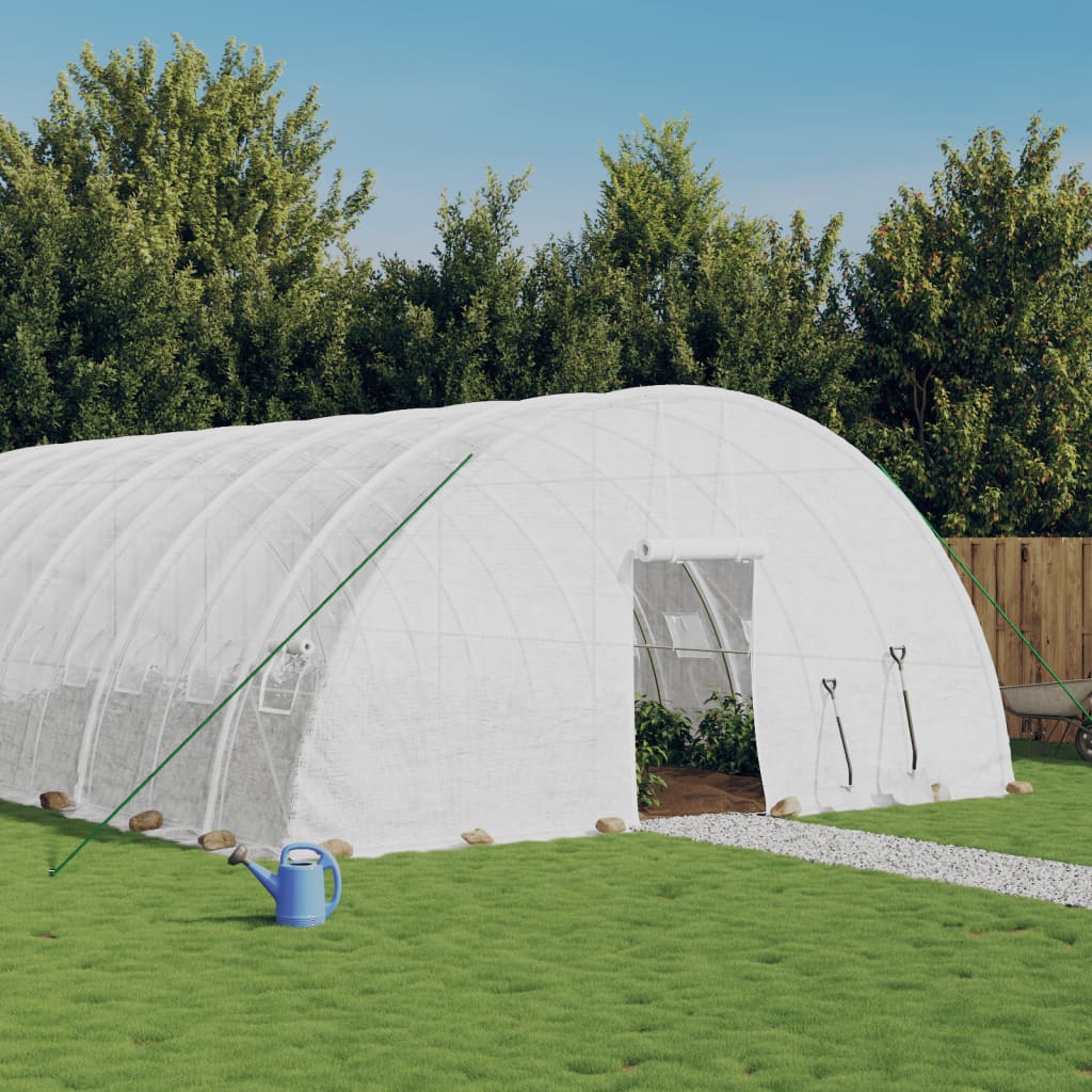Gewächshaus Mit Stahlrahmen 60 M² 10X6X2,85 M