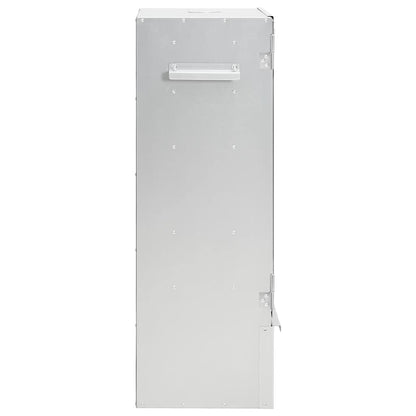Räucherofen Mit Kaltrauchgenerator Verzinkter Stahl