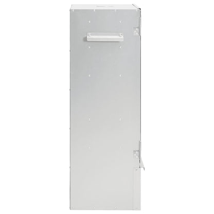 Räucherofen Mit Kaltrauchgenerator Verzinkter Stahl