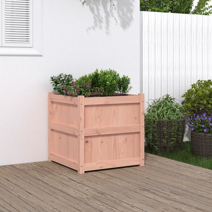Pflanzkübel 60X60X60 Cm Massivholz Douglasie