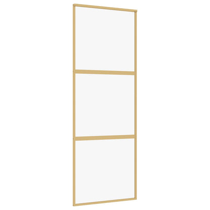 Schiebetür En 76X205 Cm Esg-Klarglas Und Aluminium