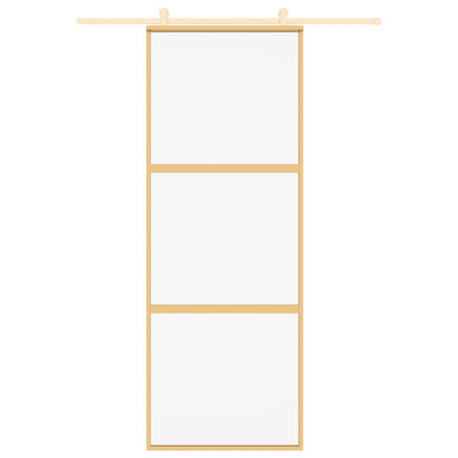 Schiebetür En 76X205 Cm Esg-Klarglas Und Aluminium