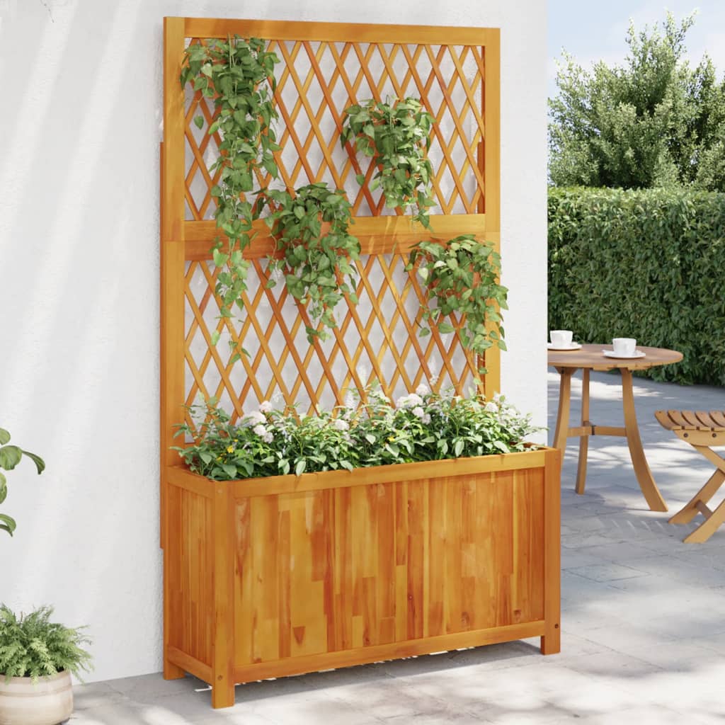 Pflanzkübel Mit Rankgitter 55X29,5X132 Cm Massivholz Akazie