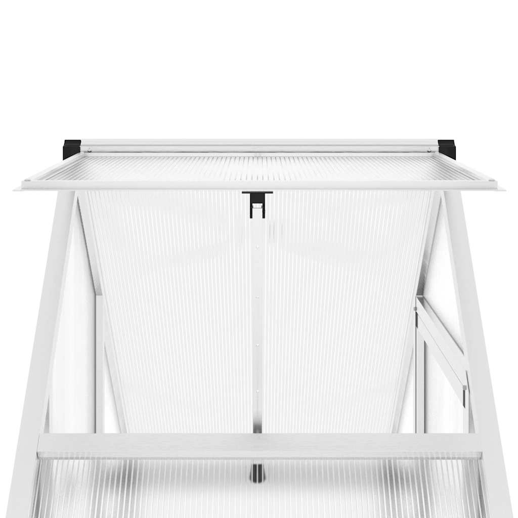 Gewächshaus Mit Fundamentrahmen N 169X58X195Cm Aluminimum