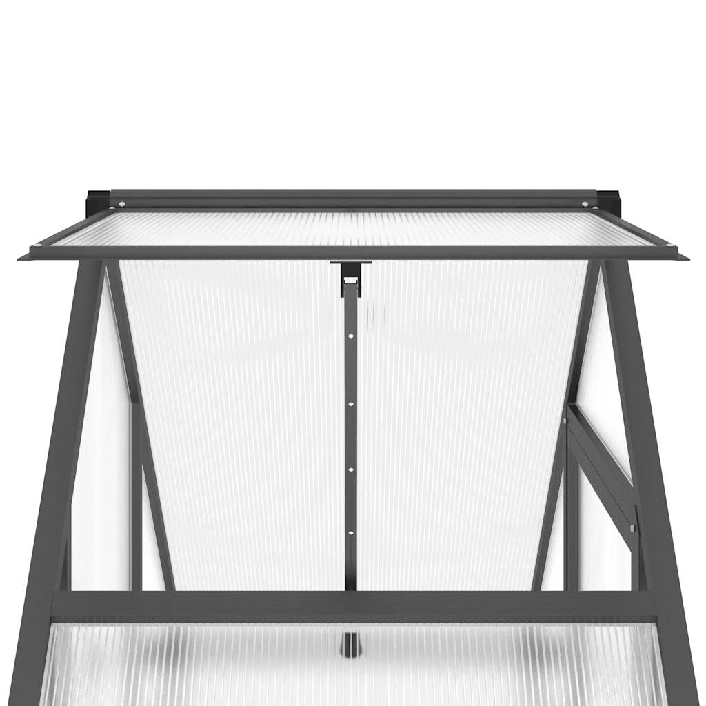 Gewächshaus Mit Fundamentrahmen 169X58X195 Cm Alu