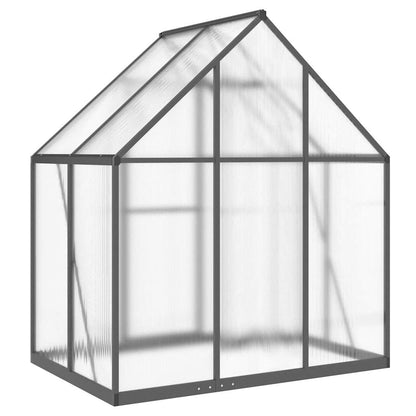 Gewächshaus Mit Fundamentrahmen 169X114X195 Cm Alu