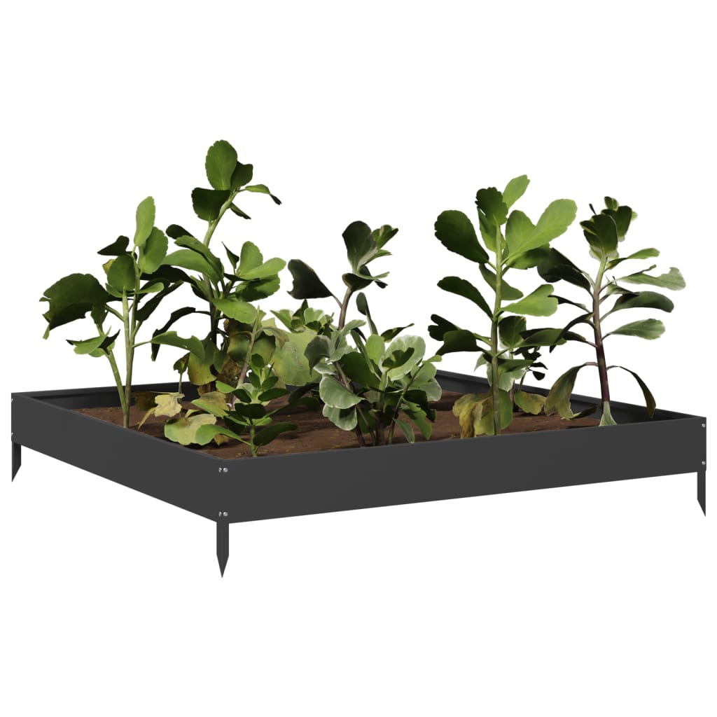 Hochbeet Schwarz 100X100X18,5 Cm Stahl