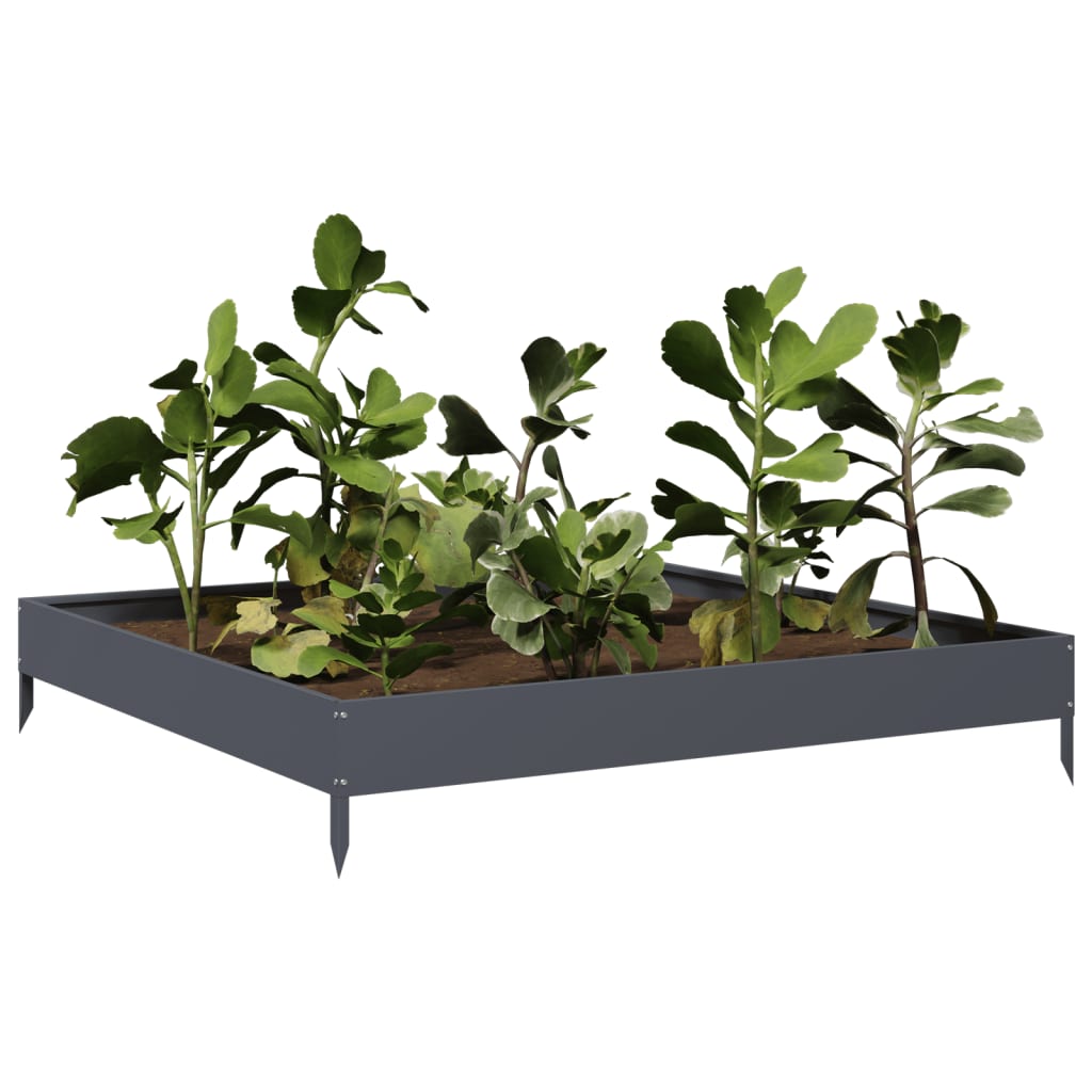 Hochbeet Anthrazit 100X100X18,5 Cm Stahl