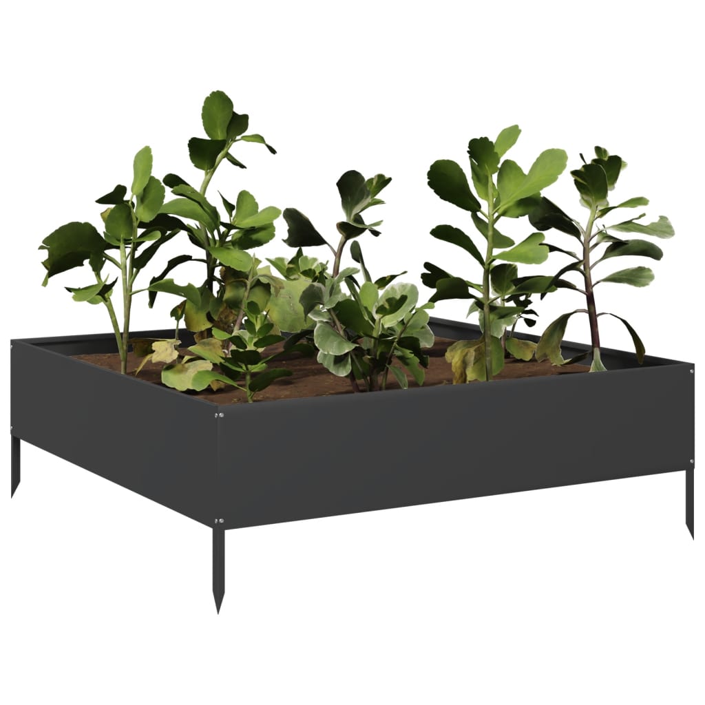 Hochbeet Schwarz 100X100X33,5 Cm Stahl