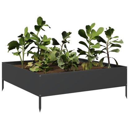 Hochbeet Schwarz 100X100X33,5 Cm Stahl