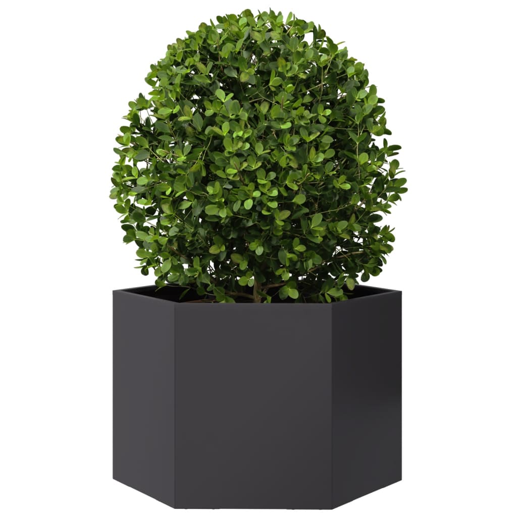 Pflanzkübel Schwarz Sechseckig 69X60X45 Stahl