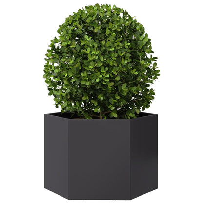 Pflanzkübel Schwarz Sechseckig 69X60X45 Stahl