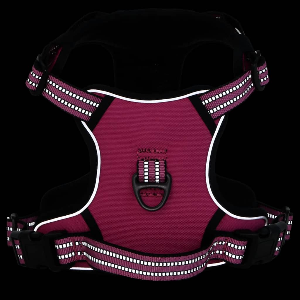 Hundegeschirr Mit Leine & Halsband Verstellbar Rosa S