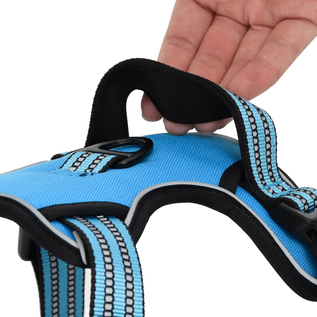 Hundegeschirr Mit Leine & Halsband Verstellbar Blau M