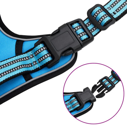 Hundegeschirr Mit Leine & Halsband Verstellbar Blau M