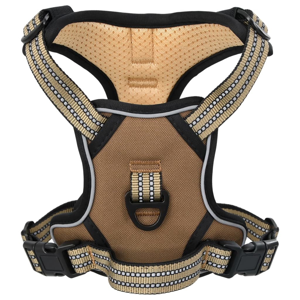Hundegeschirr Mit Leine & Halsband Verstellbar L