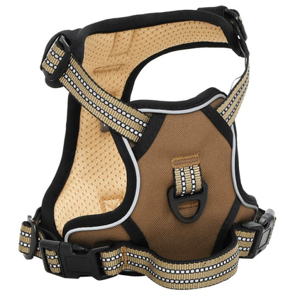 Hundegeschirr Mit Leine & Halsband Verstellbar L