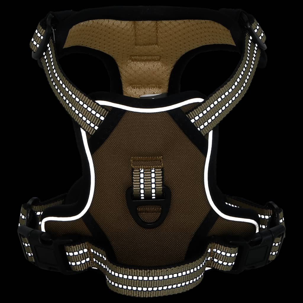 Hundegeschirr Mit Leine & Halsband Verstellbar L