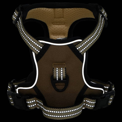 Hundegeschirr Mit Leine & Halsband Verstellbar L
