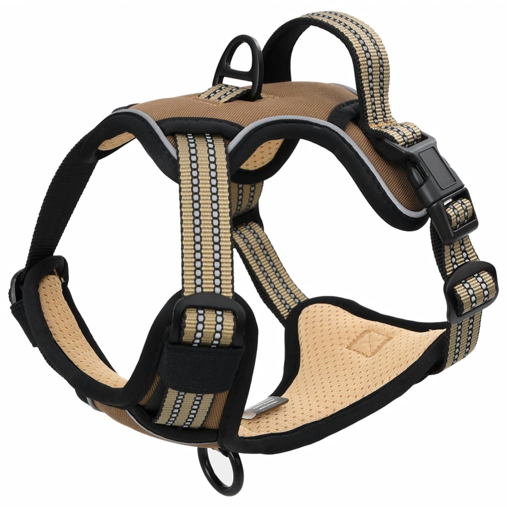 Hundegeschirr Mit Leine & Halsband Verstellbar L