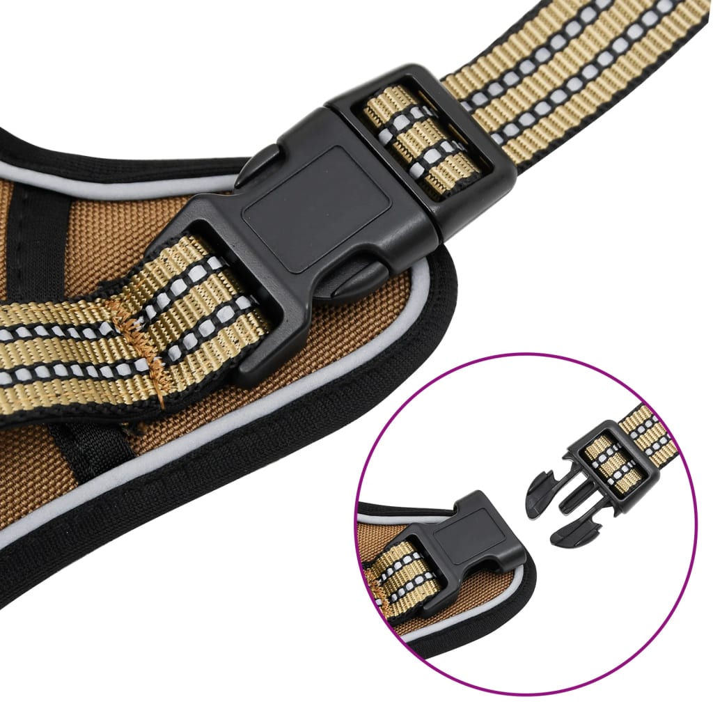 Hundegeschirr Mit Leine & Halsband Verstellbar L