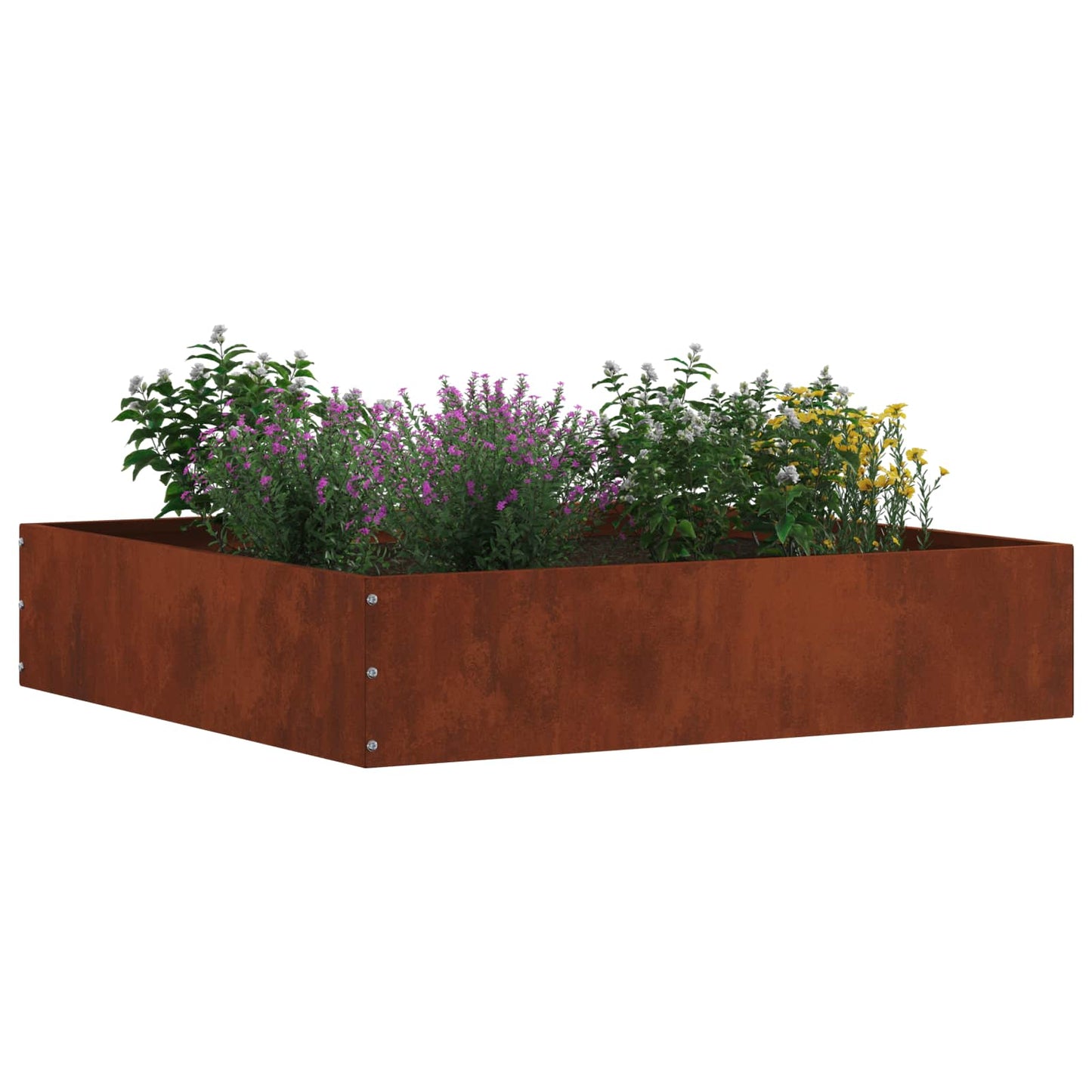 Raseneinfassung 6 Pcs Rostig