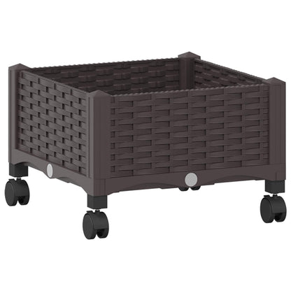 Gartenpflanzer 40 X 40 X 29 Cm Pp Braun