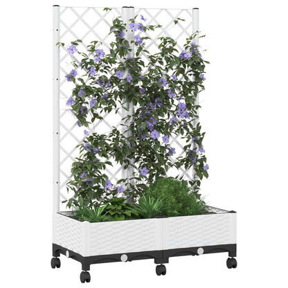 Pflanzkübel Mit Spalier Und Rädern 80 X 40 X 131,5 Cm Pp