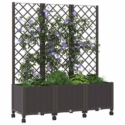 Pflanzkübel Mit Spalier Und Rädern 120 X 40 X 146 Cm Pp
