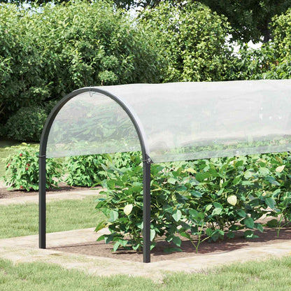 Plane Mit Ösen Transparent 7 X 4 M Polyethylen