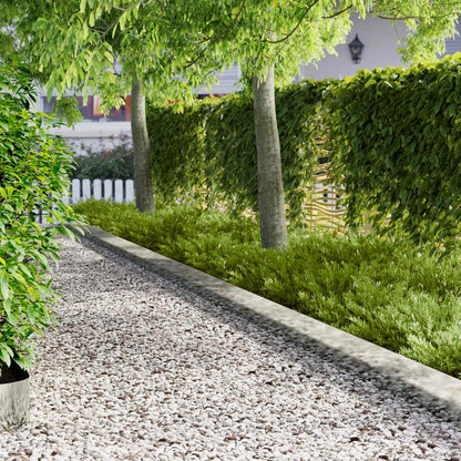 Raseneinfassung 20 Pcs 102 X 15 X 4 Cm Stahl Rostig